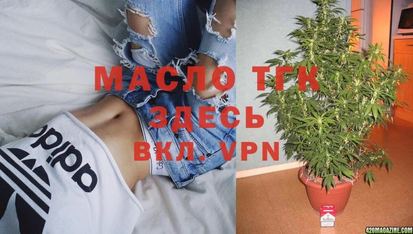 молекула духа Осташков