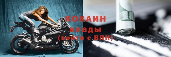 молекула духа Осташков