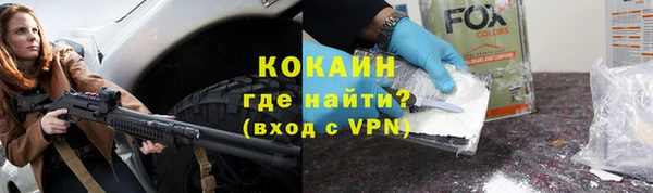 молекула духа Осташков