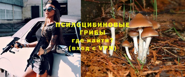 PSILOCYBIN Остров