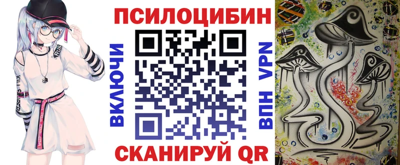 Псилоцибиновые грибы GOLDEN TEACHER  нарко площадка наркотические препараты  Тавда 